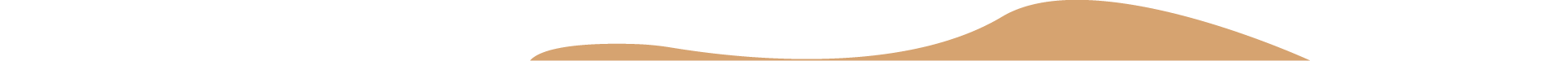 common.corporate_gifts_successful_cases